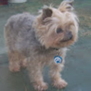 Meet your Posher, Beth